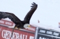 , Womens slalom world cup 2012 - Courchevel Enquirer